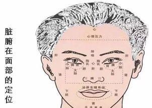 2.1 气场与面部特征的关系