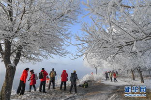 到底去哪儿堪才不迷路？