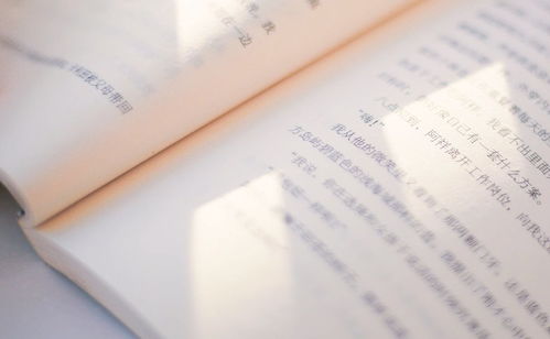 属虎：热情活力中的投入与回忆