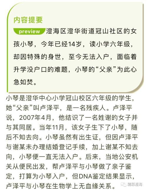 2. 音韵和谐与文化内涵