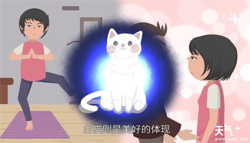 梦见白猫温顺地入怀是什么寓意或象征？