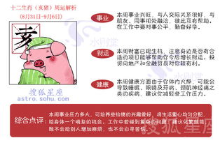 9.6-9.12十二生肖运势详解书中，每周运势是如何详细描述的？