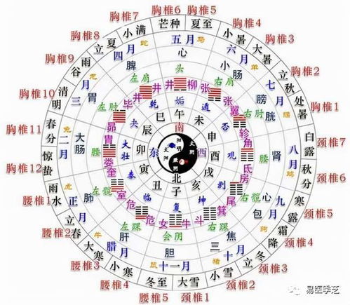 68年属猴人今年哪个方位吉？改运方位是哪里？