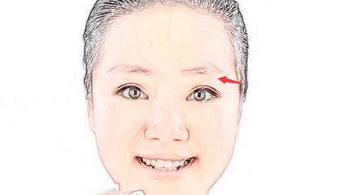 下巴尖者的晚年社交倾向