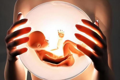 抗压韧性及挑战应对能力培养