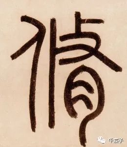 有哪些大气草字头字适合在线公司起名？