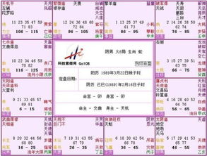 4. 太阳坐命并兼具化权：成就导向型专业人士