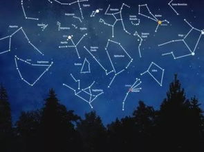 十一月里是哪个星座，难道不是天蝎座吗？