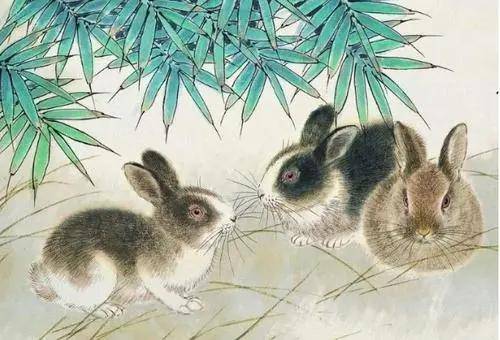 2026年属兔1月黄道吉日对应哪些生肖？