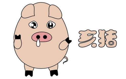 2026年马年属猪财运运势详解具体如何？