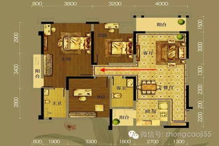 玄空风水双星在哪些具体实例中应用最多？