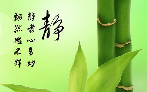 家长们的心理活动：望子成龙望女成凤