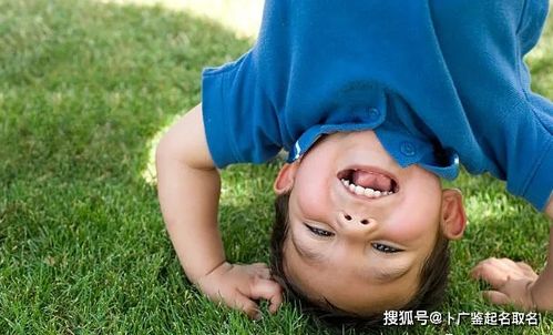如何给属兔男孩挑个好名儿？这可是个大学问啊！