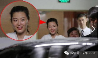 全智贤高清照片中，她的八字眉和精致妆容是如何完美融合的？