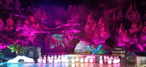 2. 鸟梅树王：老树一棵