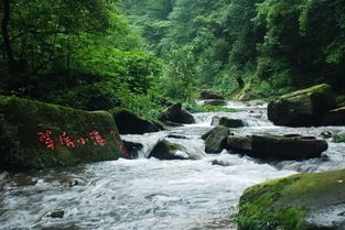 2026年游玩必备物品清单