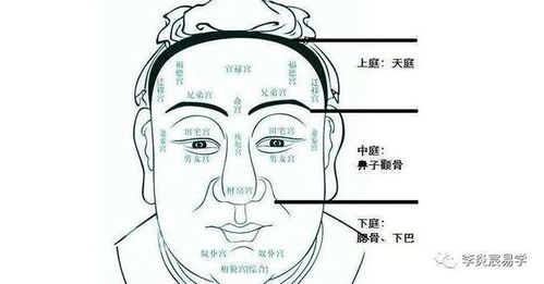 六、 从业领域选择及职务匹配的实证分析