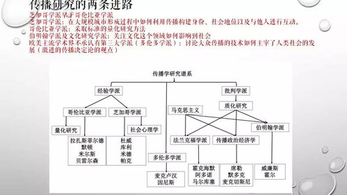 （三）新派：简化范式与普及化趋势下的反思
