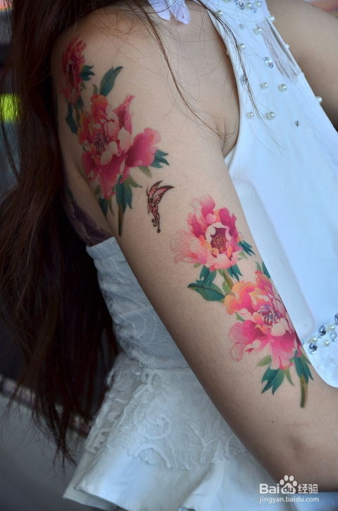 三、 可供选择的水象图案及其寓意