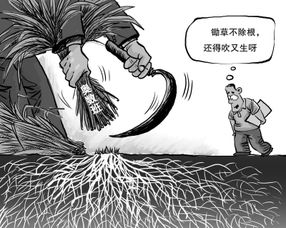 斩草除根打一生肖是什么生肖？斩草除根打一数字是什么意思？