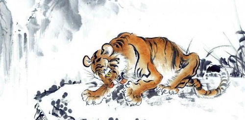 2026年出生属虎的女性在2026年感情运势中桃花会否特别旺盛？