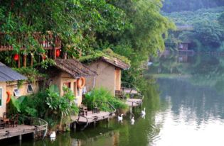 杭州——西湖、 灵隐寺、网红咖啡屋