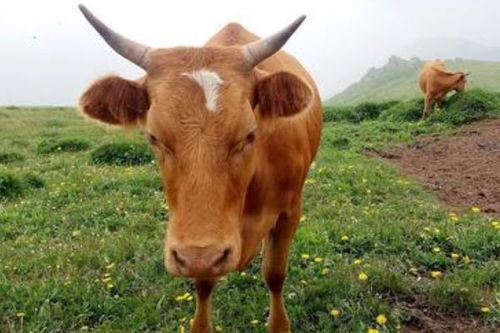 请客吃饭有讲究