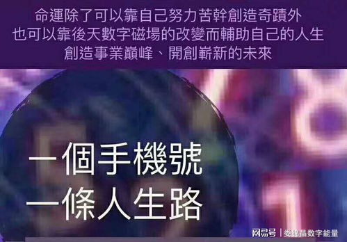 数字测凶吉直播真的靠谱吗？