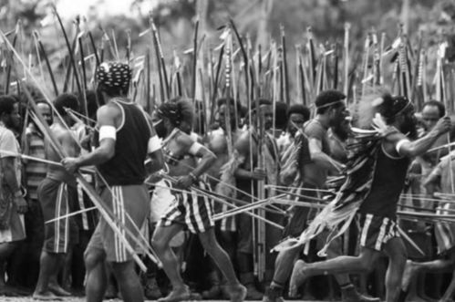 一、  刈族与苅族的起源：虚构设定的界定