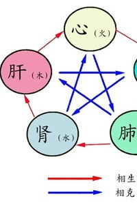 沟通方式与表达偏好