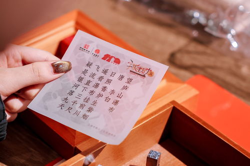 字体春秋：解码印刷字体背后的设计逻辑与美学价值