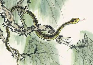 江山打一生肖和牛打江山马坐殿分别指代什么生肖和动物，能否解释这两个成语的含义？