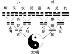 太极阴阳论在掌相学中的应用