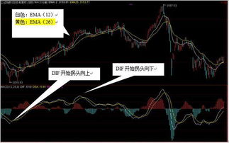 深度解析：看完头皮发麻