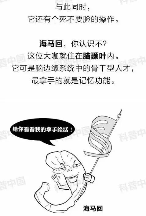 凸出型：施行力缺失与财务疏忽