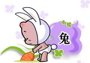 属牛爸爸属兔妈妈，孩子属什么生肖最适宜婚姻性格？