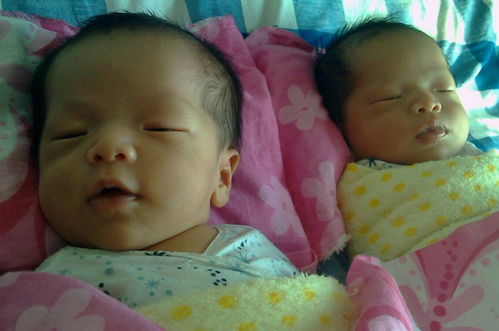 一年多没怀孕，算命先生说我生龙凤胎，这是真的吗？