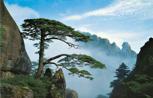 门票市场价格变化波动：旺季陷阱与淡季机会