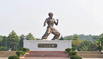 争议中的乐园：李较小龙门票优惠背后的真实相