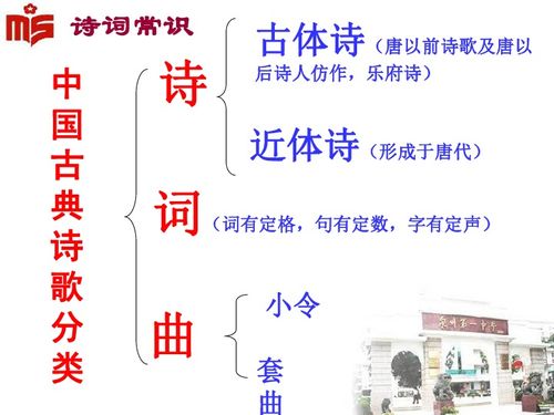 1. 砂星的作用及其分类