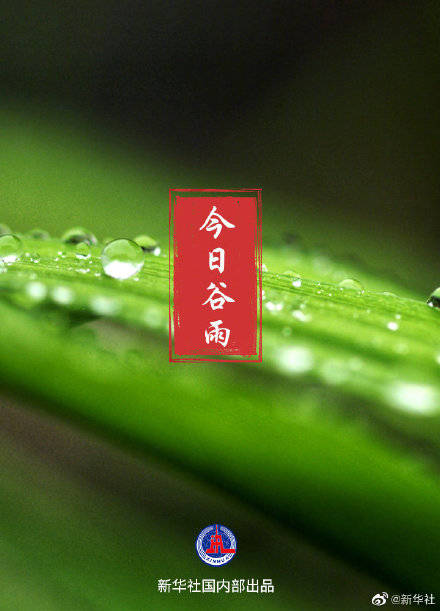 1. 雨量变化对作物生长的直接影响