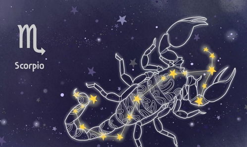 一、 星座配对的基本原理及其应用