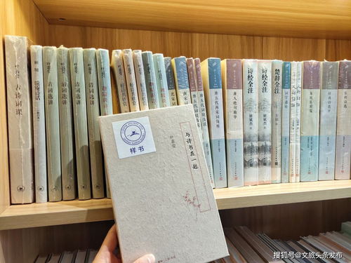 一、 探究背景与理论框架