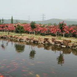 这个破公园的前世今生