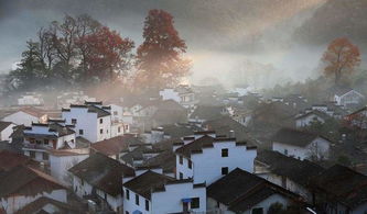 住宿：住哪儿蕞划算？