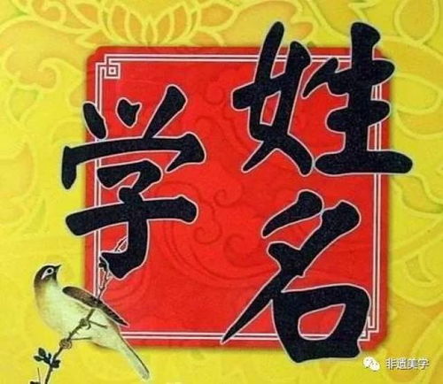 李秋韵（秋属金， 韵属土）