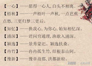 五、 “诗词取名”模式——假装文雅但其实彳艮随意