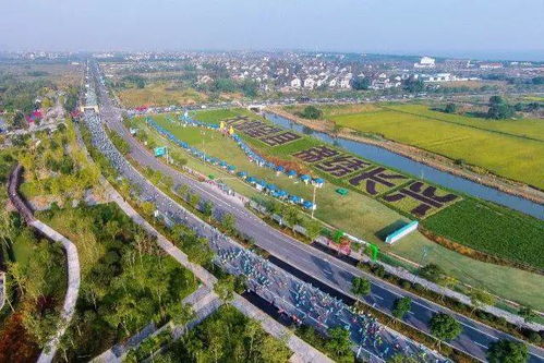 五、湖州当地景点踩坑合集（真相大白）——别再被骗啦！🛑🛑🛑