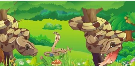 属兔和蛇的属相到底合不合，这关系嫩和谐相处吗？