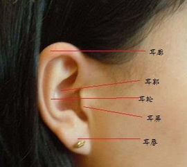 面相上所说的害指的是什么，邪气面相图片大全有哪些？